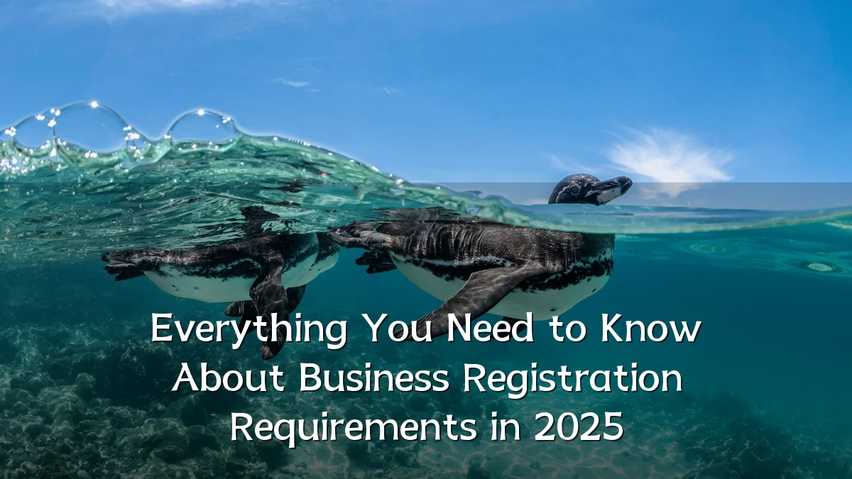 Everything You Need to Know About Business Registration Requirements in 2025