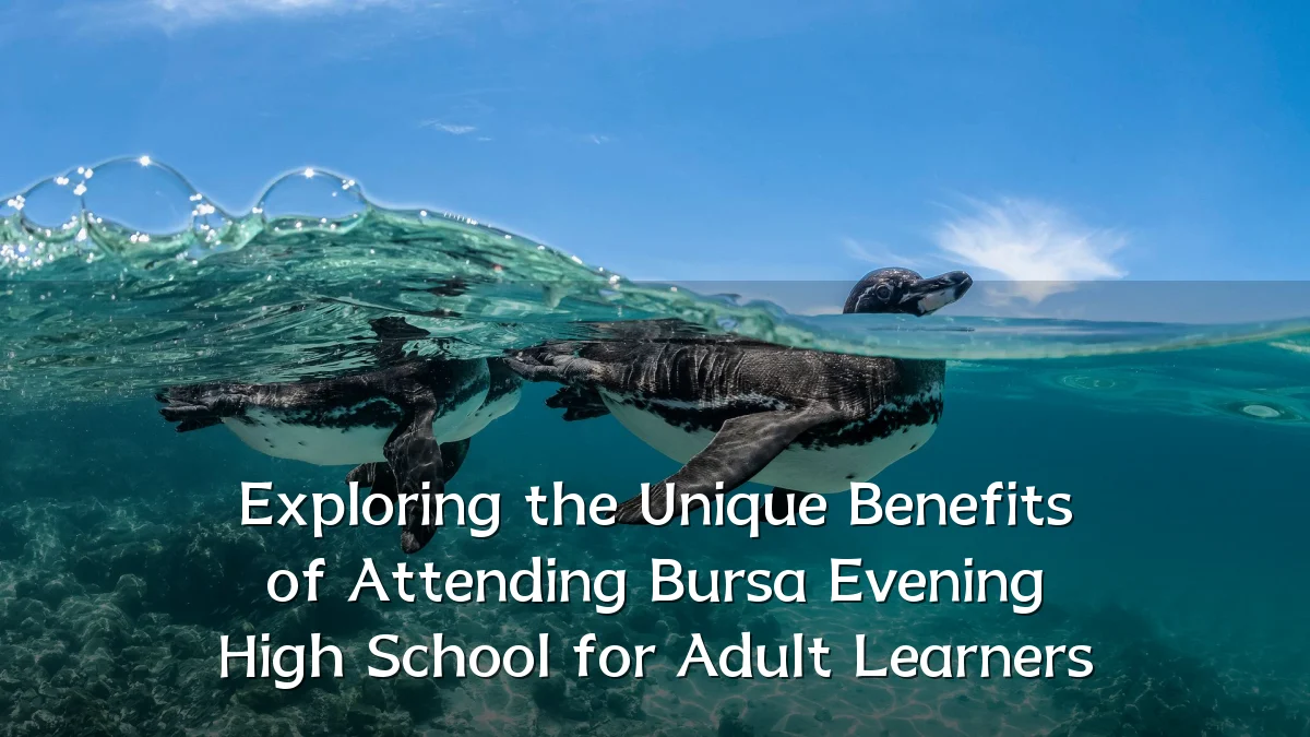 Exploring the Unique Benefits of Attending Bursa Evening High School for Adult Learners