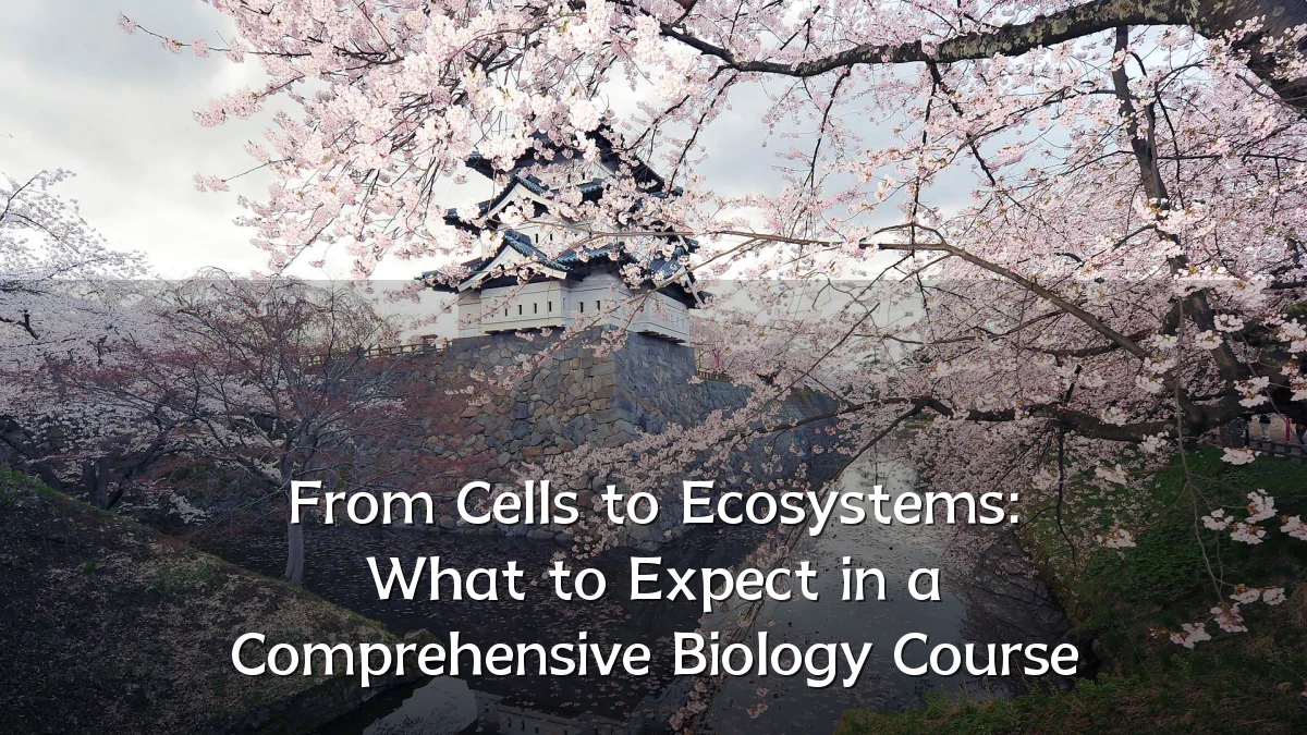 From Cells to Ecosystems: What to Expect in a Comprehensive Biology Course