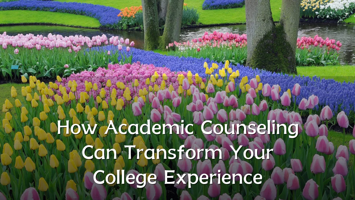 How Academic Counseling Can Transform Your College Experience