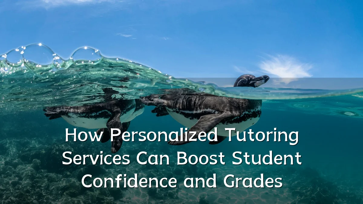 How Personalized Tutoring Services Can Boost Student Confidence and Grades