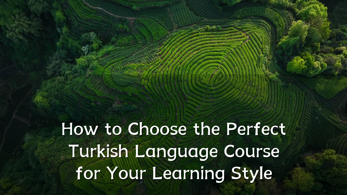 How to Choose the Perfect Turkish Language Course for Your Learning Style
