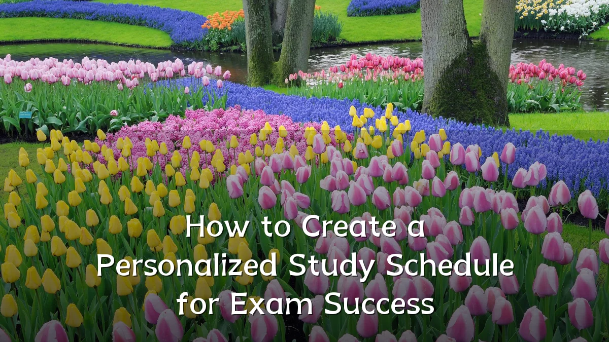 How to Create a Personalized Study Schedule for Exam Success