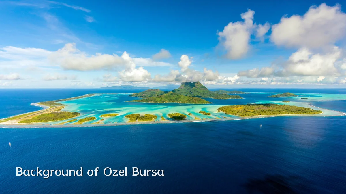 Background of Ozel Bursa