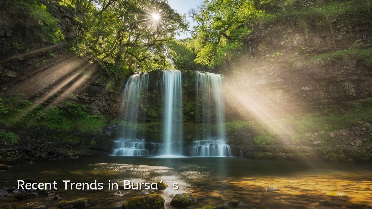 Recent Trends in Bursa’s