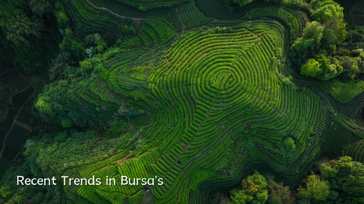 Recent Trends in Bursa's