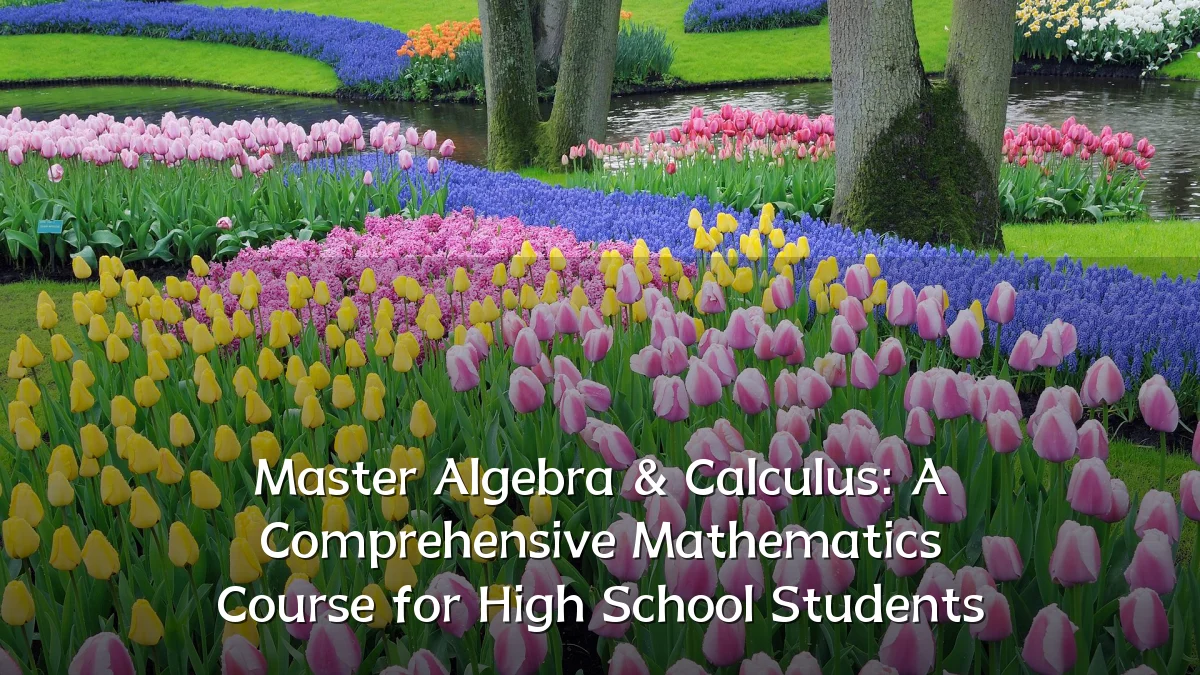 Master Algebra & Calculus: A Comprehensive Mathematics Course for High School Students