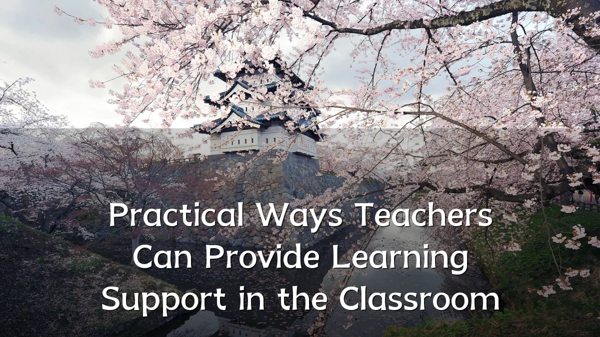Practical Ways Teachers Can Provide Learning Support in the Classroom