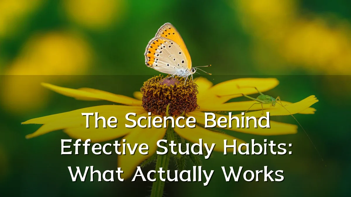 The Science Behind Effective Study Habits: What Actually Works