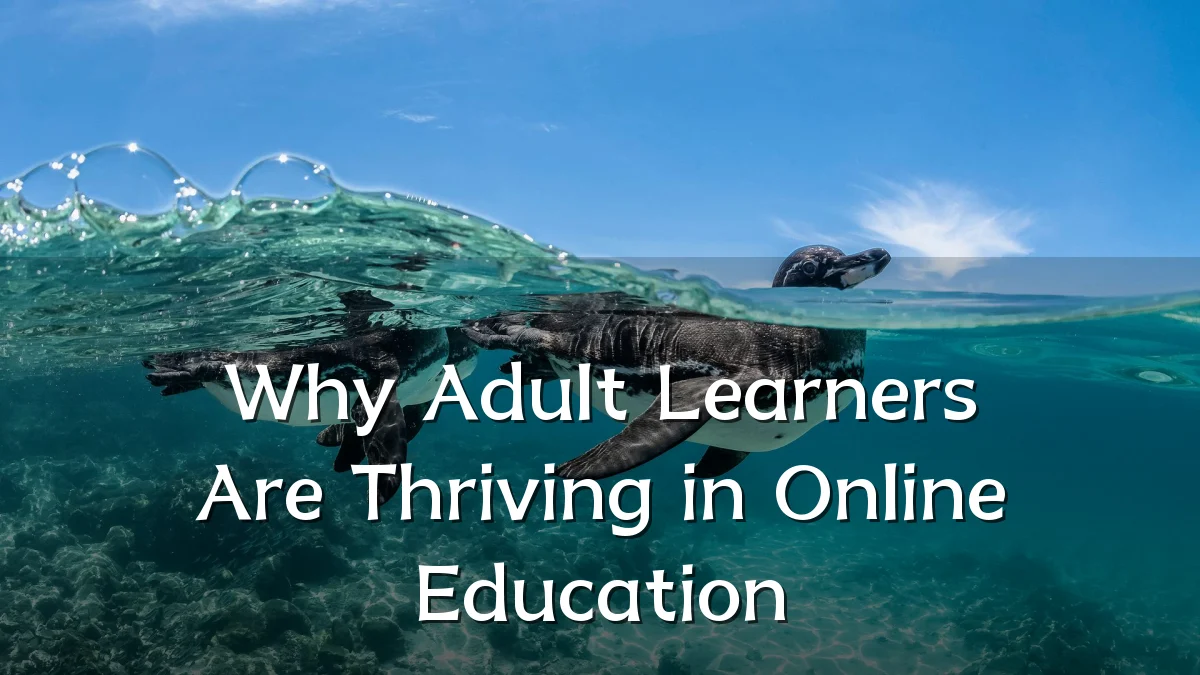 Why Adult Learners Are Thriving in Online Education