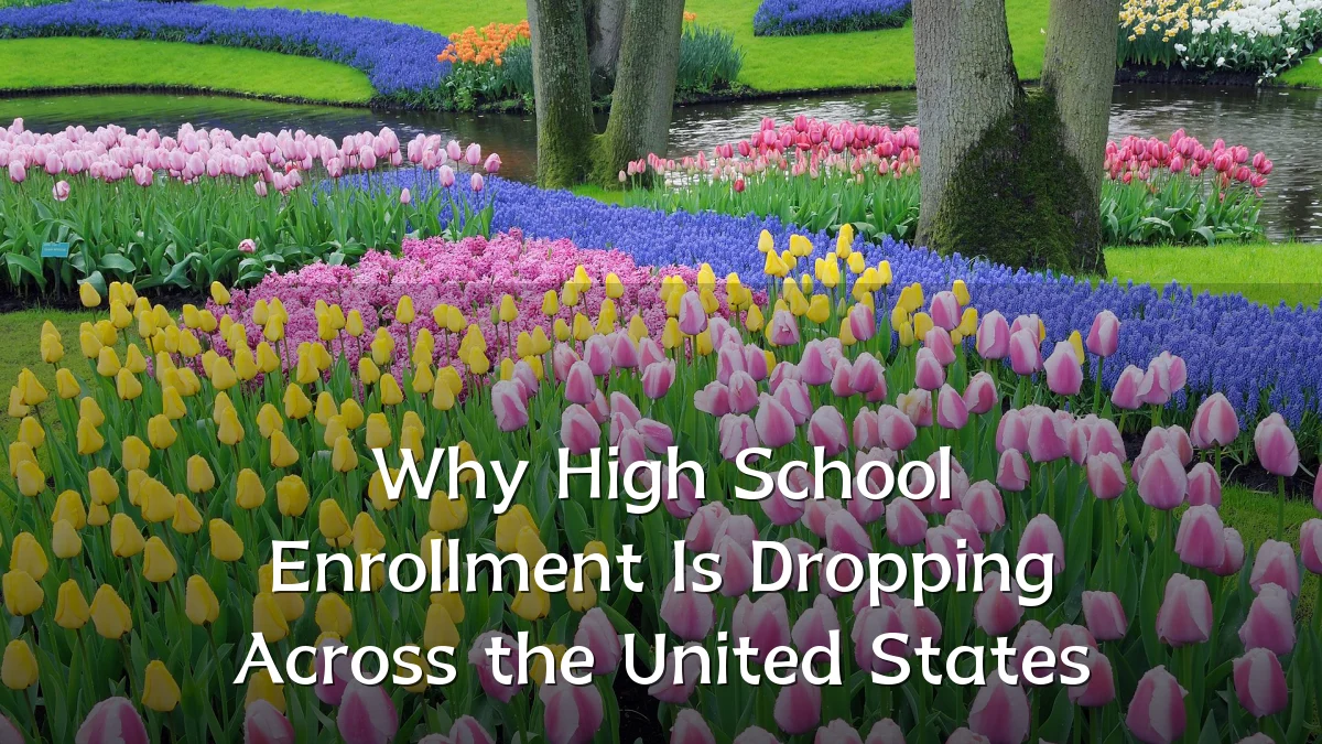Why High School Enrollment Is Dropping Across the United States