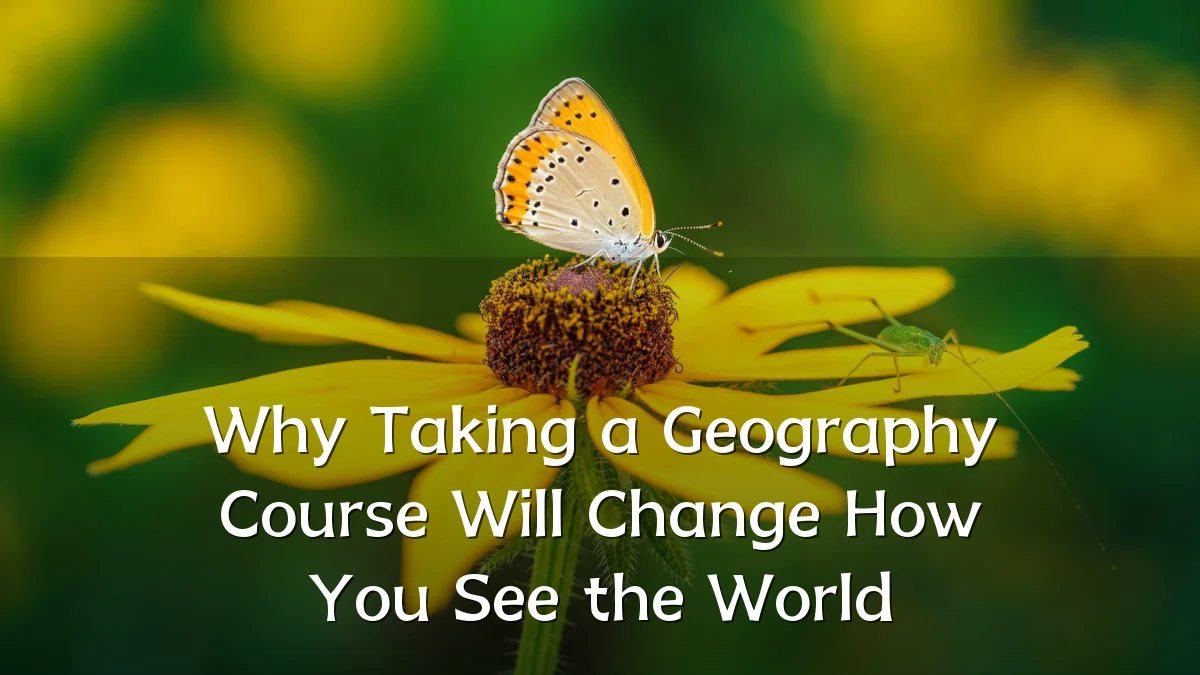 Why Taking a Geography Course Will Change How You See the World